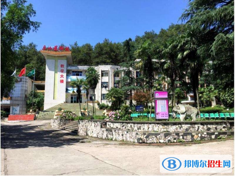 乐山中专学校都有哪些