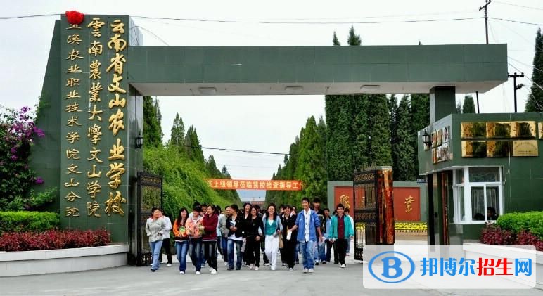 文山中专学校录取分数线
