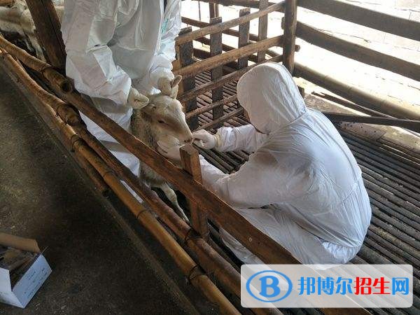西安中专学校都能学什么