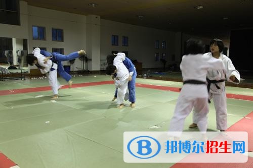 运动4