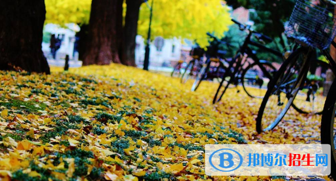 微信截图_20190426162534