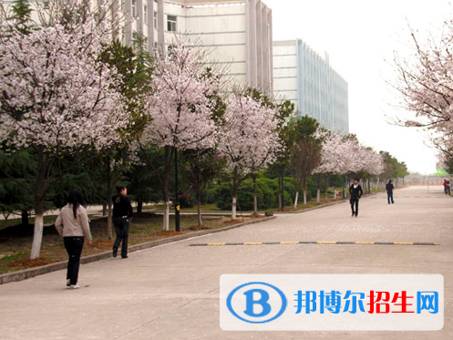 QQ截图20190430161907