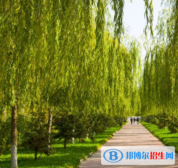 黄陵1
