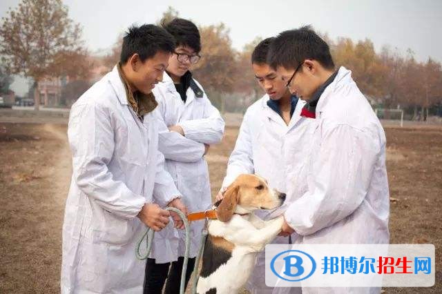 兰州中专学校都能学什么