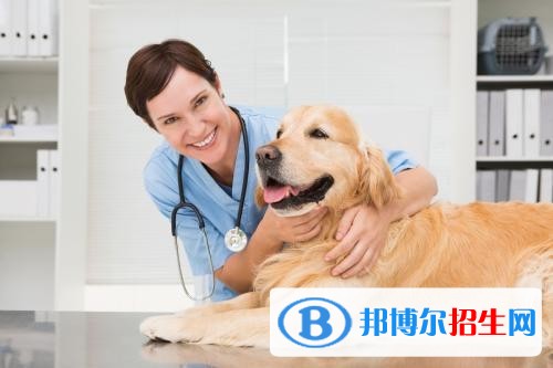河北中专学校哪个比较好