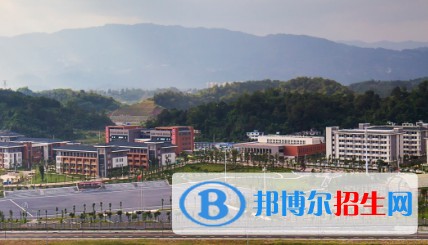 雅安职业技术学院五年制大专2019年有哪些专业