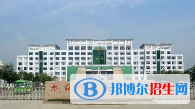 枣庄科技职业学院单招2019年单独招生录取分数线