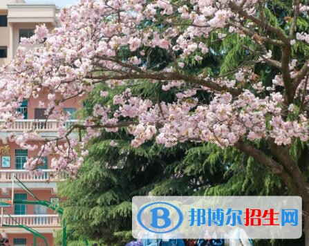 安顺第三高级中学2022年报名条件、招生要求、招生对象