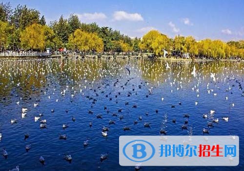 云南最好的中职学校的排名