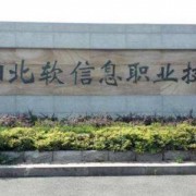 沈阳北软信息职业技术学院单招2019年有哪些专业