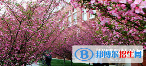 崇州市电子职业技术学校1