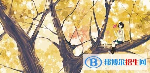不正规幼儿园才会导致虐童事件