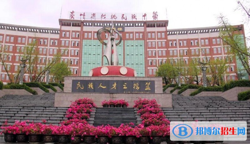 松桃民族中学2020年招生代码