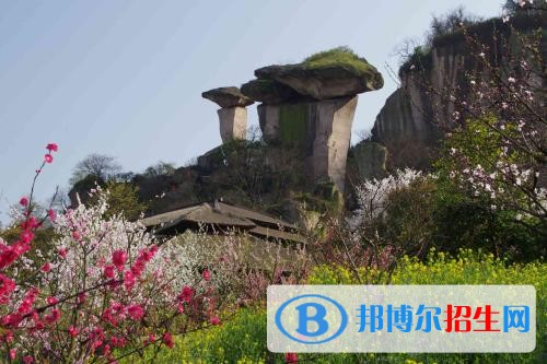绍兴职业技术学院五年制大专2019年招生办联系电话