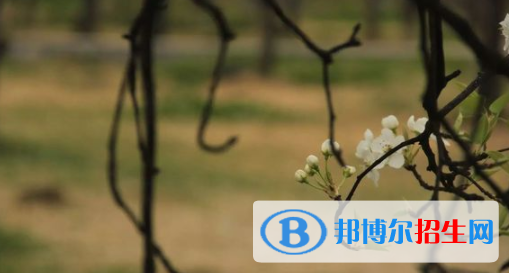 洱源县职业高级中学