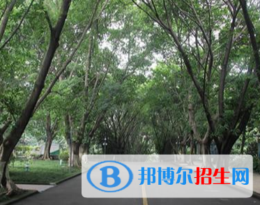重庆5年制卫校有哪些