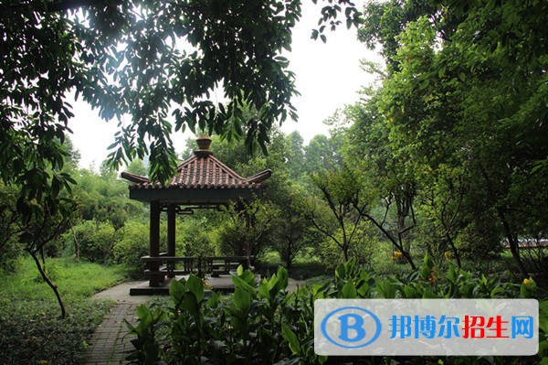 重庆初中毕业后去卫校怎么样