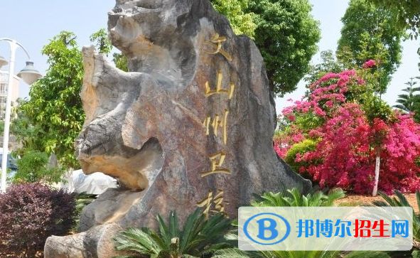 200分可以去云南卫校吗