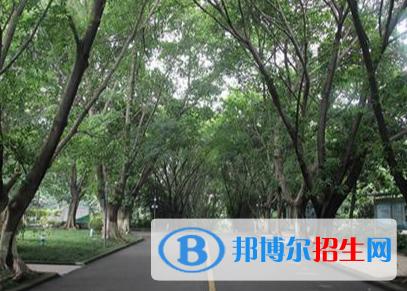 重庆初中毕业生读哪个卫校