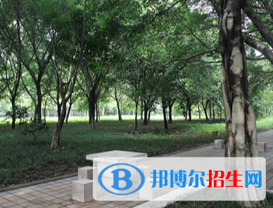 重庆初中毕业生可以报卫校吗