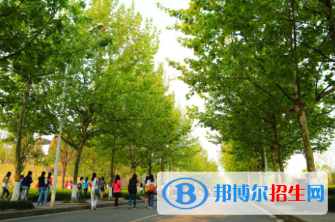 重庆大专卫校有哪些