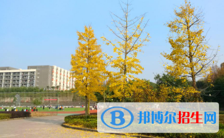 重庆大专性质的卫校学什么