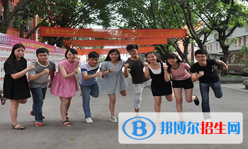 重庆的卫校分布在哪些区域