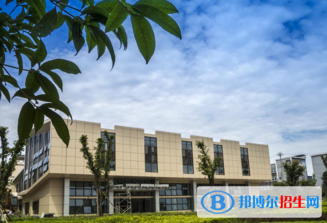 重庆的卫校高职可以考本科吗