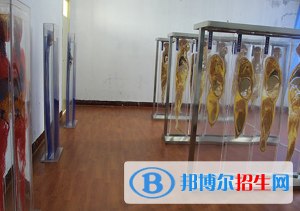 重庆的卫校护理学都学什么