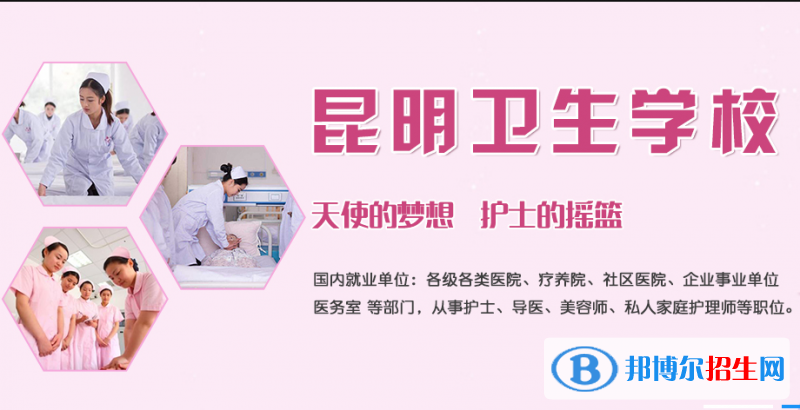 云南的卫校报读什么专业好