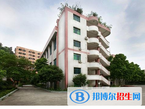 重庆的卫校录取线是多少