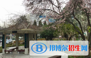 成县职业中等专业学校2020年报名条件、招生要求、招生对象