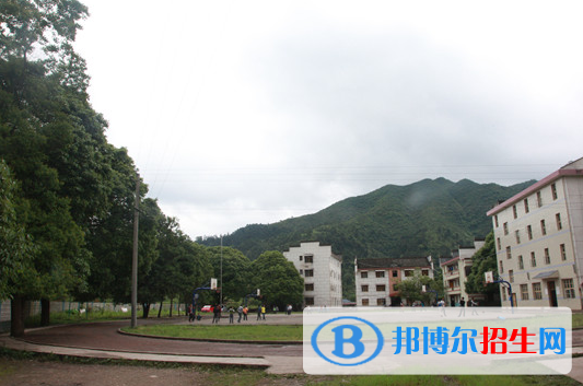 QQ截图20191017142906