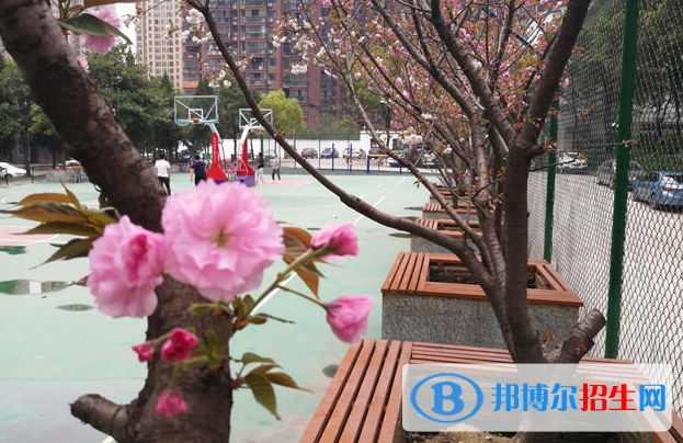 湖北广播电视学校3