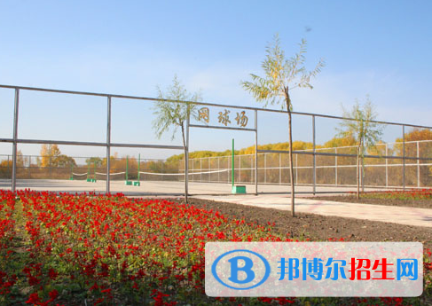 鹤岗师范高等专科学校单招2020年单独招生报名时间、网址入口  