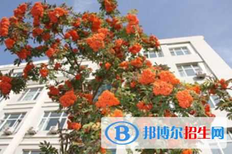 黑龙江生态工程职业学院单招2020年单独招生报名时间、网址入口