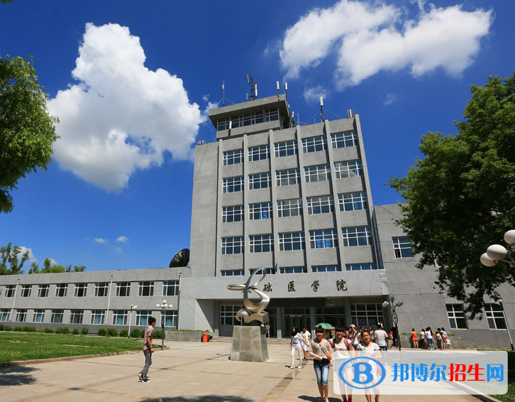 黑龙江护理高等专科学校单招2020年单独招生成绩查询、网址入口