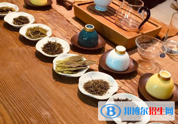 南昌女子中等专业学校2020年有哪些专业
