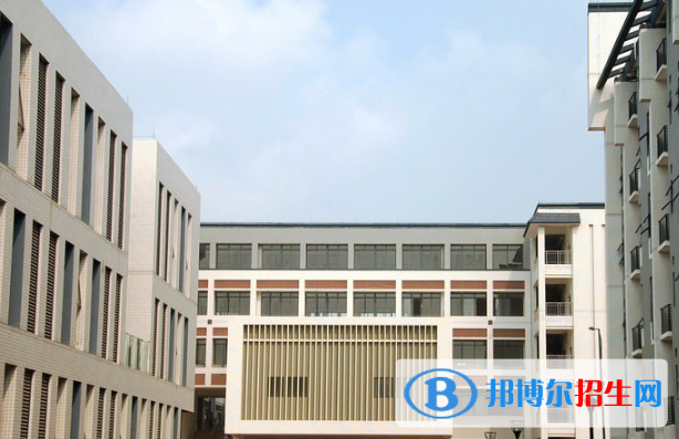 广东职业5
