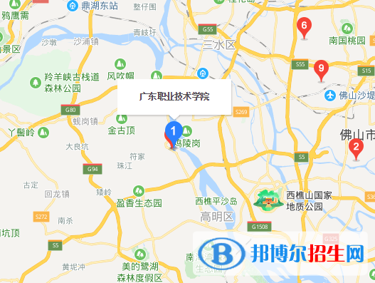 广东职业15