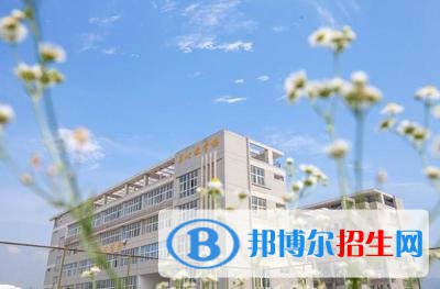 传媒11