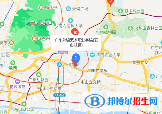 艺术14