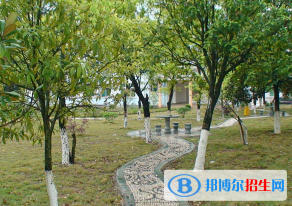 泰和中等专业学校怎么样、好不好