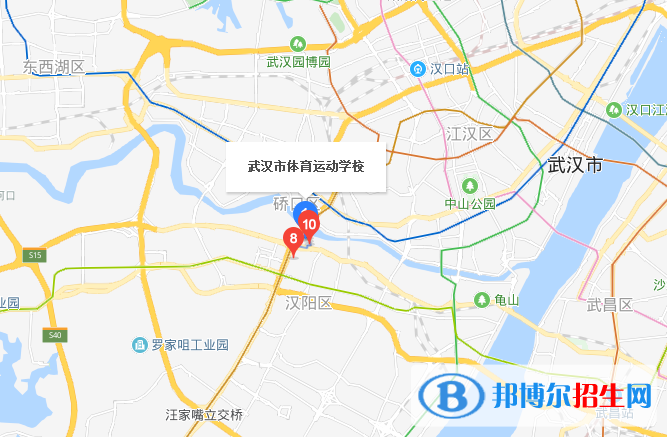 武汉市体育运动学校dz