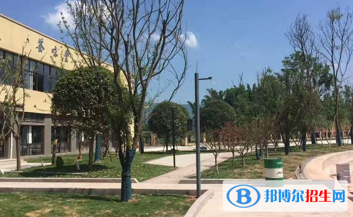 龙11