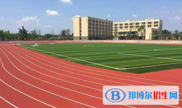 龙12