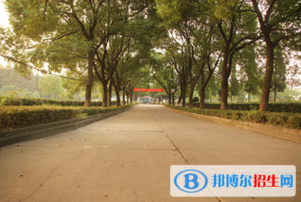 武汉江南技术学校5