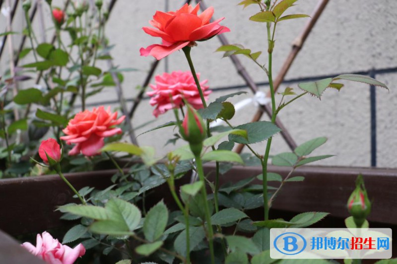 新闻5