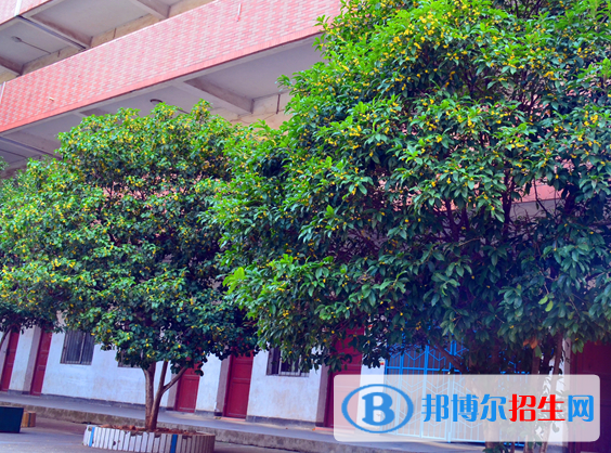 赣州育才职业中等专业学校怎么样、好不好