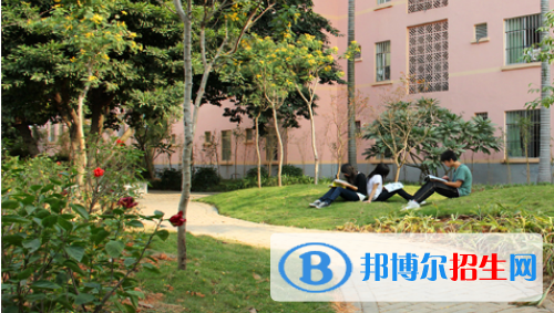 广西广播电视学校网站网址